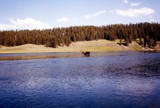 USA-Yellowstone_11.jpg